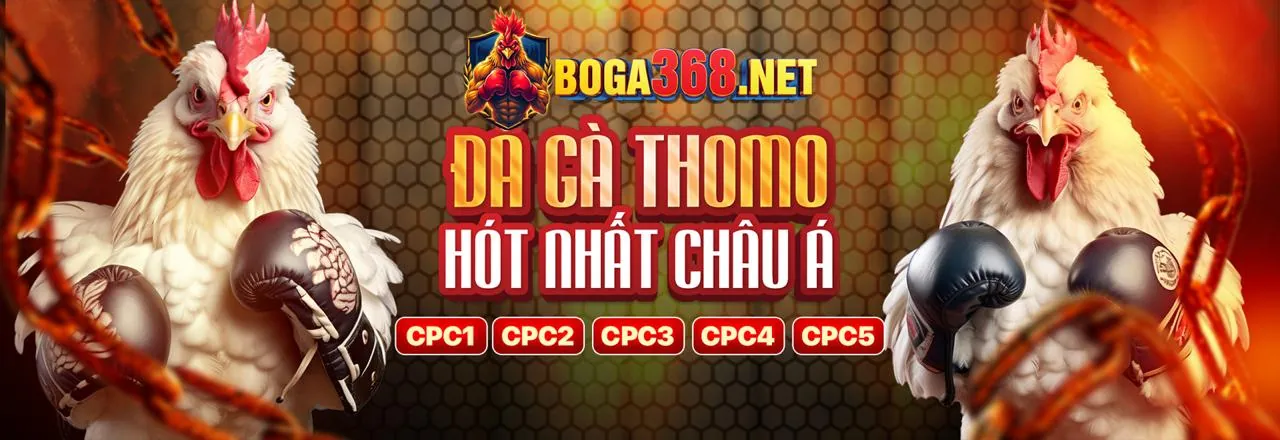 Đá Gà Trực Tuyến rich888 code